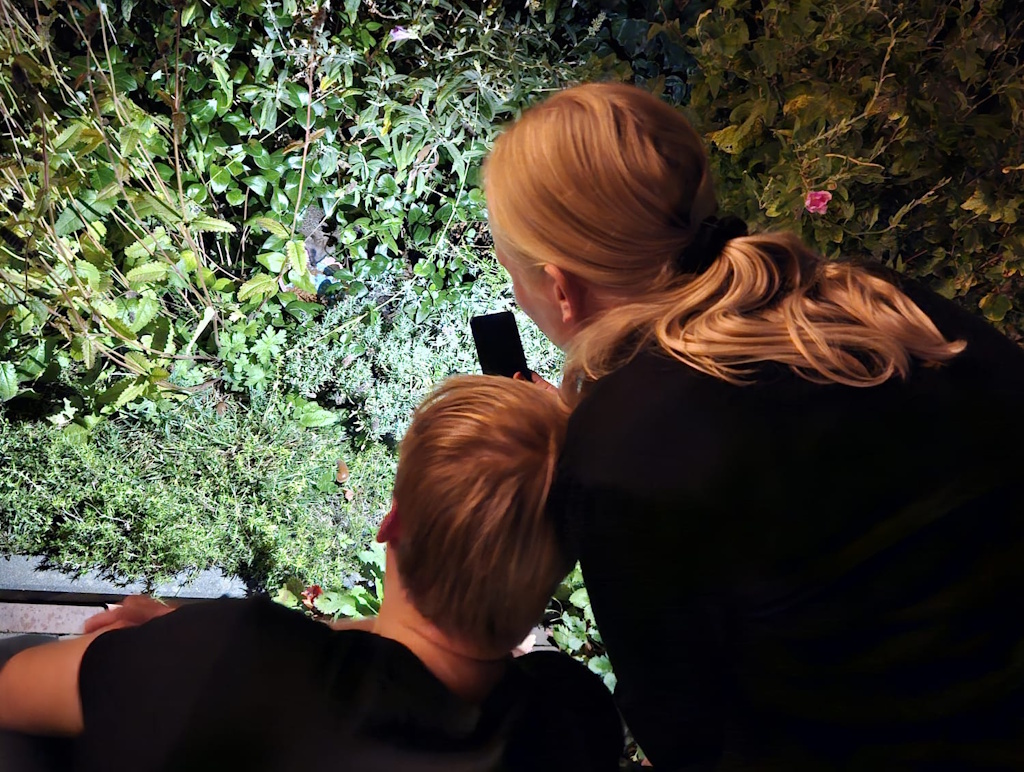 Pim en Noes bij Knabbel en Babbel